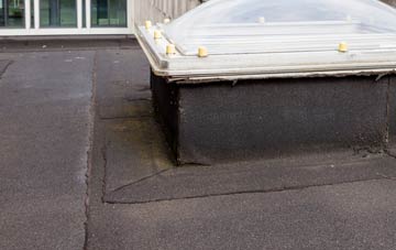 disadvantages of Purton Stoke flat roofs