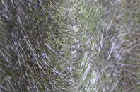 Purton Stoke fibreglass roof work